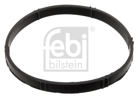 Seal Ring, throttle body